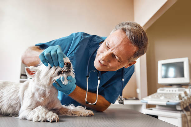 Best Emergency Tooth Extraction in Tamarac, FL